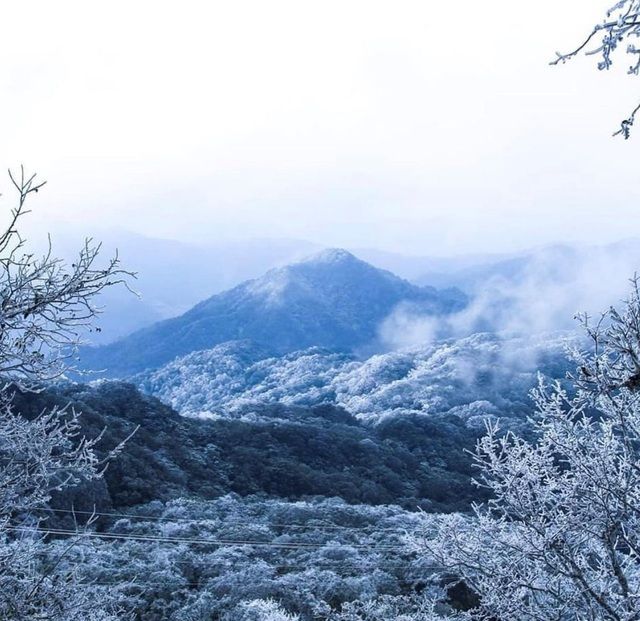 Khám phá những thiên đường ngắm băng tuyết tuyệt đẹp tại Việt Nam