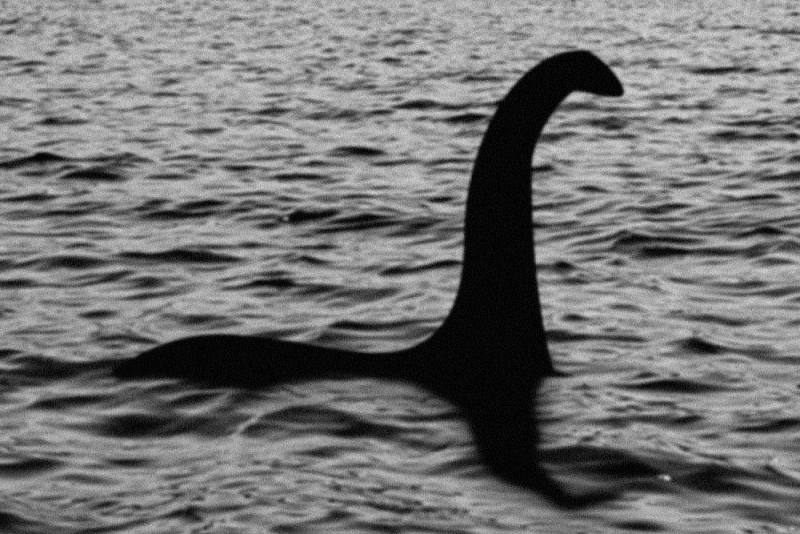 Quái vật hồ Loch Ness là con rùa cổ đại?