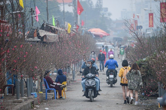 Trong khi đó, tại chợ hoa Quảng An, hoạt động buôn bán diễn ra tấp nập. Kể từ đầu tháng 12 Âm lịch, rất nhiều người dân Hà Nội cũng như ở các tỉnh thành khác vẫn duy trì thói quen ra tận vườn đào Nhật Tân hoặc chợ hoa lựa từng cành, từng cây ưng ý nhất về