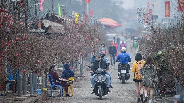 Hà Nội ban hành kế hoạch tổ chức chợ hoa Xuân phục vụ Tết Nhâm Dần 2022