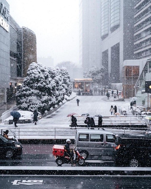 Nhật Bản: Tokyo đẹp huyền ảo khi tuyết rơi dày những ngày đầu Năm mới