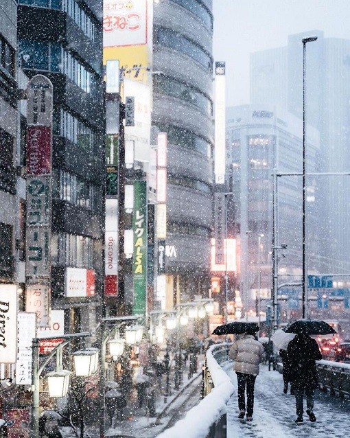 Nhật Bản: Tokyo đẹp huyền ảo khi tuyết rơi dày những ngày đầu Năm mới