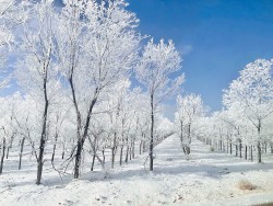 Trung Quốc: Khung cảnh Tân Cương trắng xóa một màu do tuyết rơi dày