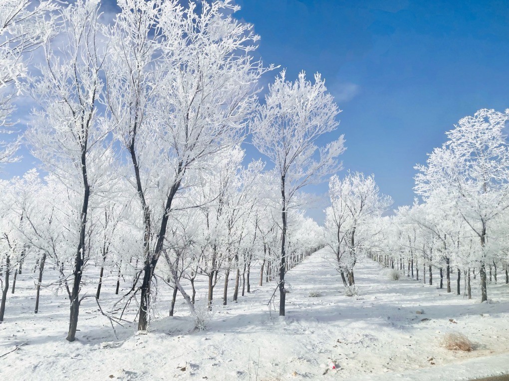 Từ 12/1, tuyết rơi nhiều ở huyện Ôn Tuyền, khu tự trị Tân Cương biến khung cảnh nơi này như thế giới cổ tích, thu hút hàng nghìn lượt du khách và cánh săn ảnh đổ về.