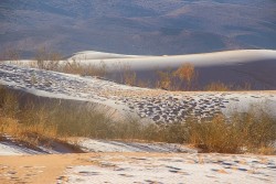Không khí lạnh bao phủ, sa mạc Sahara chìm trong tuyết trắng mùa Đông