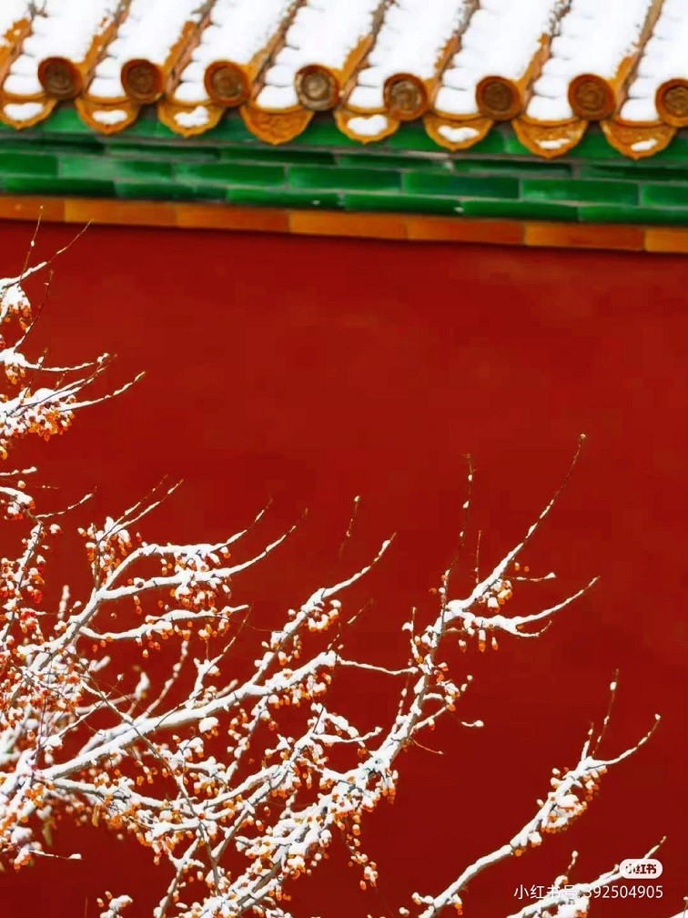 Trung Quốc: Tử Cấm Thành mờ ảo tự cổ tích trong màn tuyết trắng hiếm có
