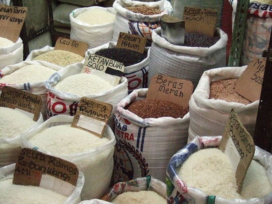 Indonesia lạc quan về sản lượng gạo năm 2017