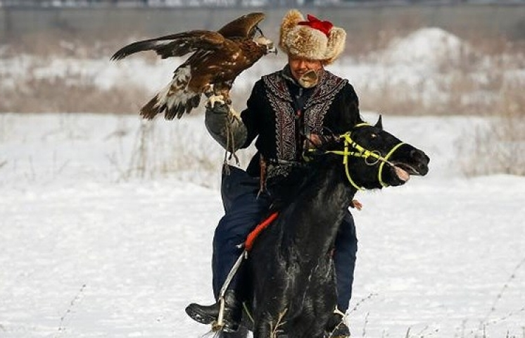 Những chú đại bàng săn bất khả chiến bại của người Kazakhstan