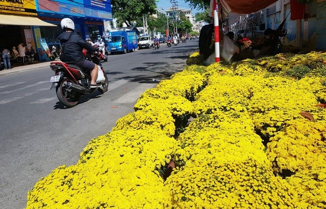 Phố biển du lịch Nha Trang ngập tràn sắc Xuân đón Tết Nguyên đán Tân Sửu