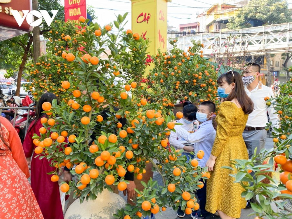 Dự báo thời tiết đêm nay và ngày mai (11-12/2): Cả nước, đêm 30 mưa vài nơi, ngày mùng 1 Tết có nắng; Bắc Bộ rét về đêm và sáng; Hà Nội từ 14-24 độ