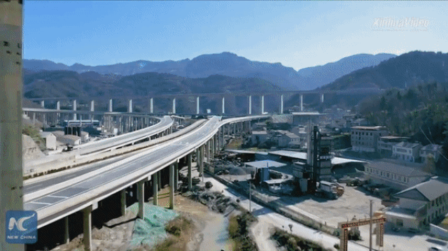 Trung Quốc: Kỳ lạ đường cao tốc tách làm đôi, nhường chỗ cho hai cây cổ thụ