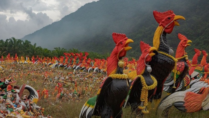 Thái Lan: Ngôi chùa khách đến thăm dâng toàn tượng gà để cầu may mắn