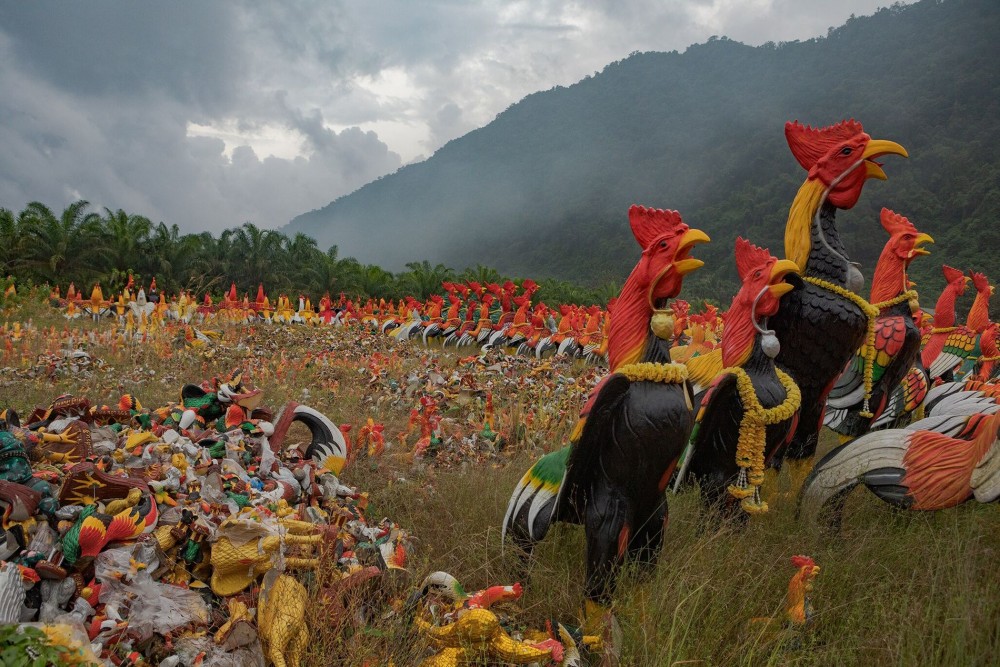 Thái Lan: Ngôi chùa khách đến thăm dâng toàn tượng gà