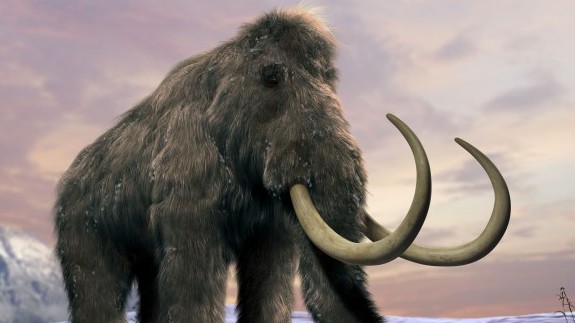 Lý giải nguyên nhân voi ma mút rậm lông khổng lồ tuyệt chủng