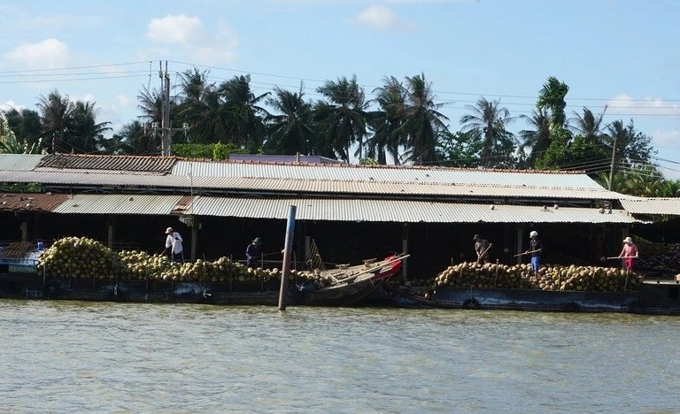 Bến Tre: Chợ nổi trên sông 'độc nhất vô nhị' chỉ bán các sản phẩm từ cây dừa