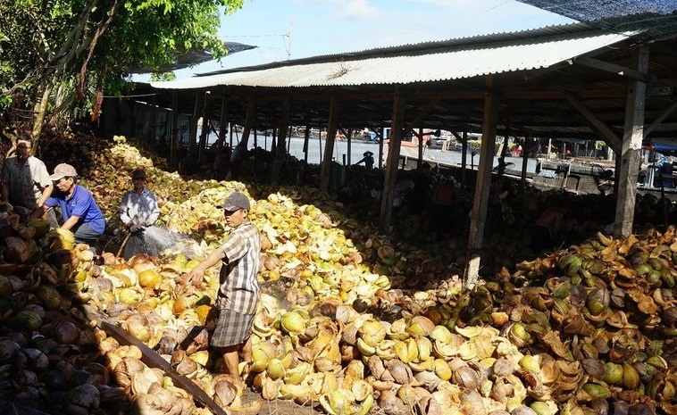 Bến Tre: Chợ nổi trên sông 'độc nhất vô nhị' chỉ bán các sản phẩm từ cây dừa
