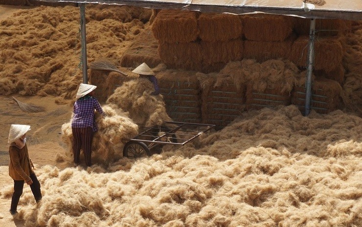 Bến Tre: Chợ nổi trên sông 'độc nhất vô nhị' chỉ bán các sản phẩm từ cây dừa