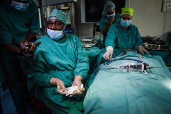 Nam Phi: Mổ thành công ca thay xương tai giữa đầu tiên trên thế giới