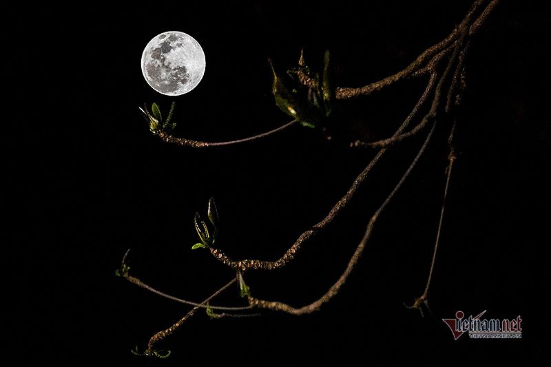 Hà Nội sáng rực rỡ với màn trăng siêu to khổng lồ. Hãy cùng chụp những bức ảnh đẹp lung linh, tận hưởng những cảm xúc trong trăng sáng rực rỡ của Hà Nội vào đêm trăng tròn.