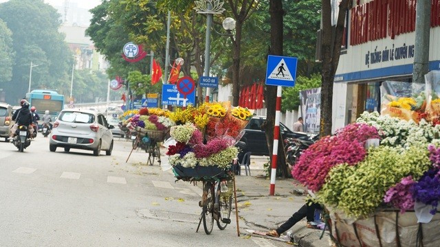 Nhiều hàng xe hoa trên các tuyến phố khá vắng khách.