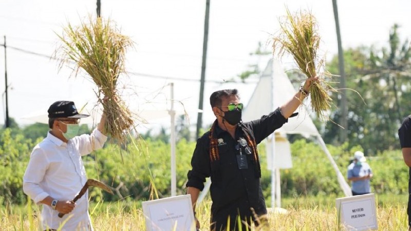 Củng cố nền kinh tế giữa đại dịch Covid-19, Indonesia phát triển mô hình du lịch nông nghiệp