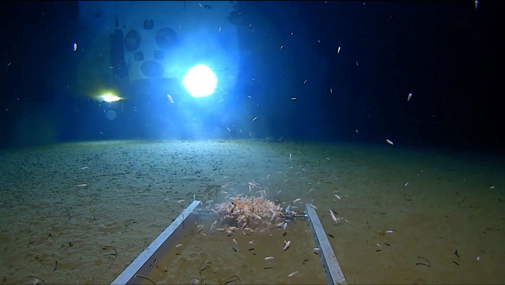 Nhà thám hiểm lập kỷ lục lặn đến điểm sâu nhất của Trái đất
