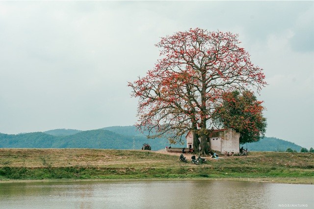 Bắc Giang: Nơi đây là một miền đất đẹp, mang đến những trải nghiệm tuyệt vời cho những du khách đam mê khám phá. Hãy khám phá vẻ đẹp tự nhiên, văn hóa và con người đáng yêu của Bắc Giang và cảm nhận niềm yêu đời đầy say mê.