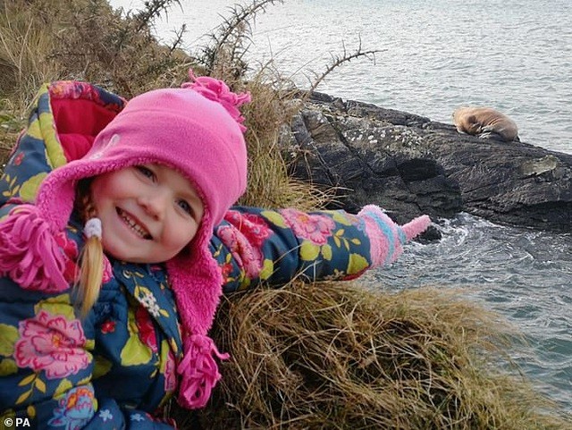 Bé gái 5 tuổi là người đầu tiên phát hiện ra con vật khi đang đi dạo cùng bố trên biển. 