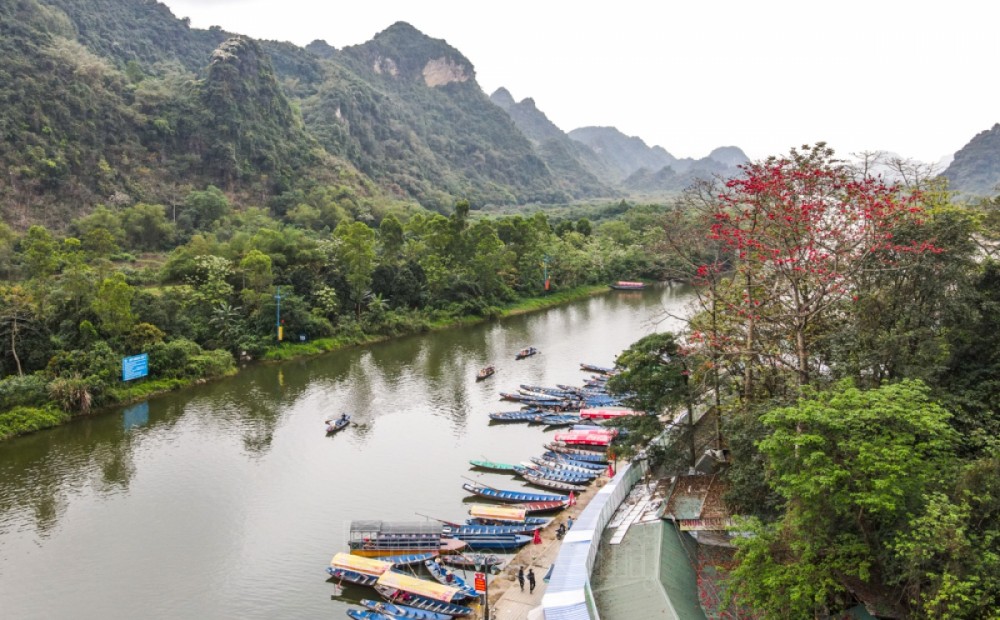 Chùa Hương: Hoa gạo cổ bung nở tỏa sắc