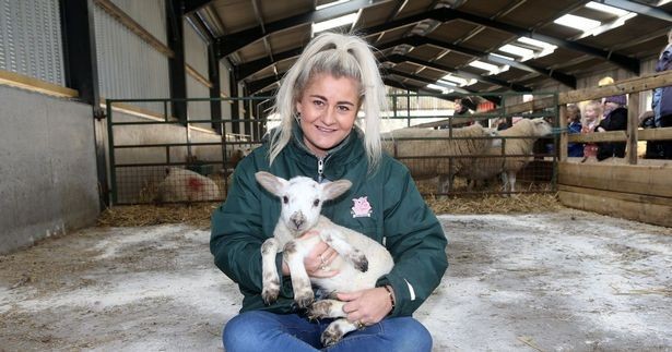 Anh: Cừu đột biến 5 chân sinh ngày 22/2/2022