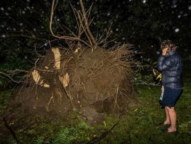 New Zealand ngổn ngang sau cơn bão nhiệt đới Cook