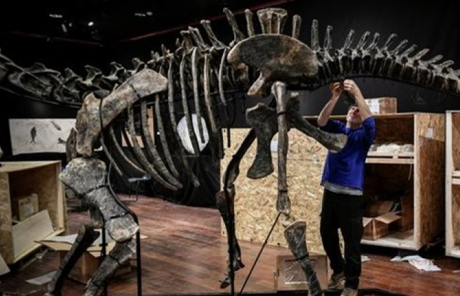 Người bí ẩn mua 2 bộ xương hóa thạch khủng long 150 triệu năm tuổi