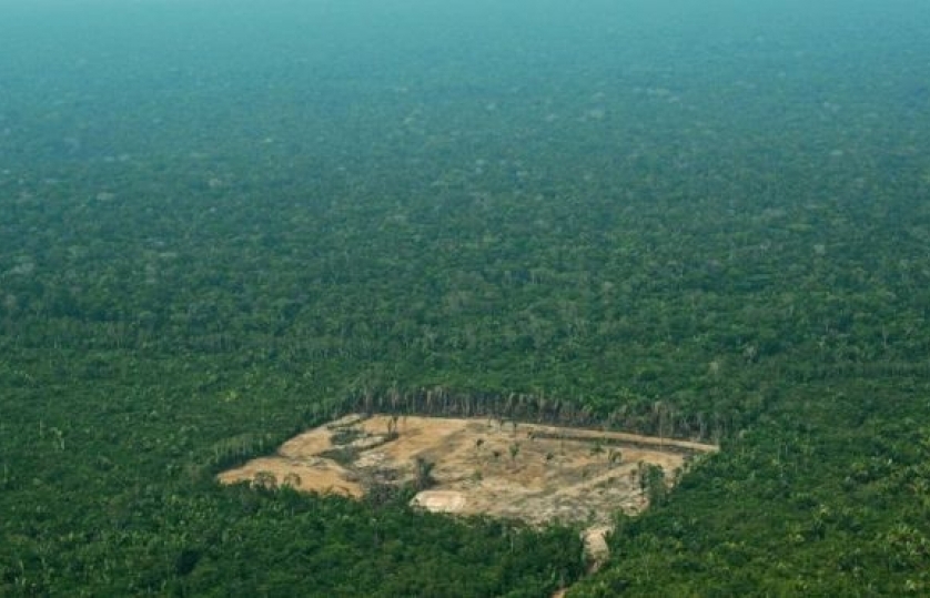 Brazil: Rừng nhiệt đới lớn nhất hành tinh Amazon đang "chảy máu"