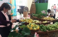 Vietnam exports first batch of mangoes to US