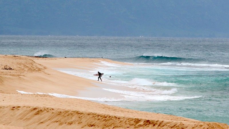 hawaii tra tien de du khach roi khoi dao do lo ngai covid 19