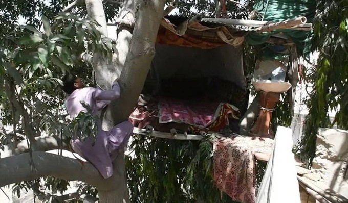 Pakistan: Nhà trên cây