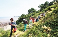 Buan - điểm đến mới hút khách du lịch ở Hàn Quốc