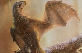 Trung Quốc phát hiện loài khủng long biết bay mới