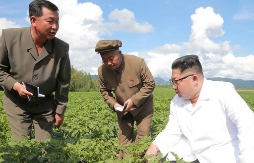 Triều Tiên thừa nhận hạn hán khủng khiếp nhất trong một thế kỷ