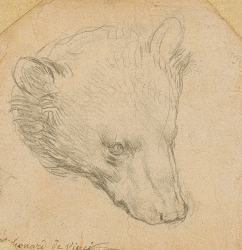 Bức phác họa 'Đầu gấu' của danh họa Leonardo da Vinci được kỳ vọng mức giá không tưởng
