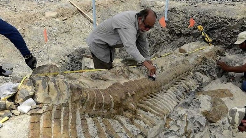Mexico phát hiện hóa thạch khủng long còn nguyên vẹn từ 73 triệu năm trước