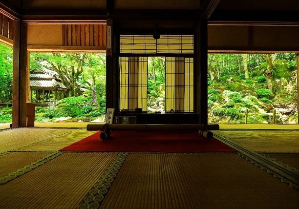 Nhật Bản: Ngôi đền cổ 1.500 tuổi nép dưới rừng cây