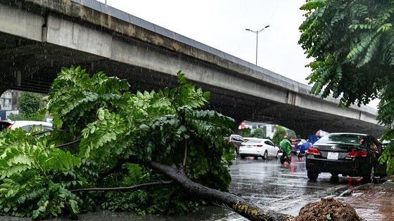 du bao thoi tiet 10 ngay toi 21315 mua to o bac bo co the keo dai trung bo tay nguyen nam bo chieu toi mua vua mua to cuc bo