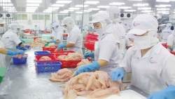 Nam Phi - Cửa ngõ quan trọng để thủy, hải sản Việt Nam vào thị trường khu vực