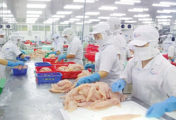 Nam Phi - thị trường nhiều tiềm năng cho thủy, hải sản Việt Nam