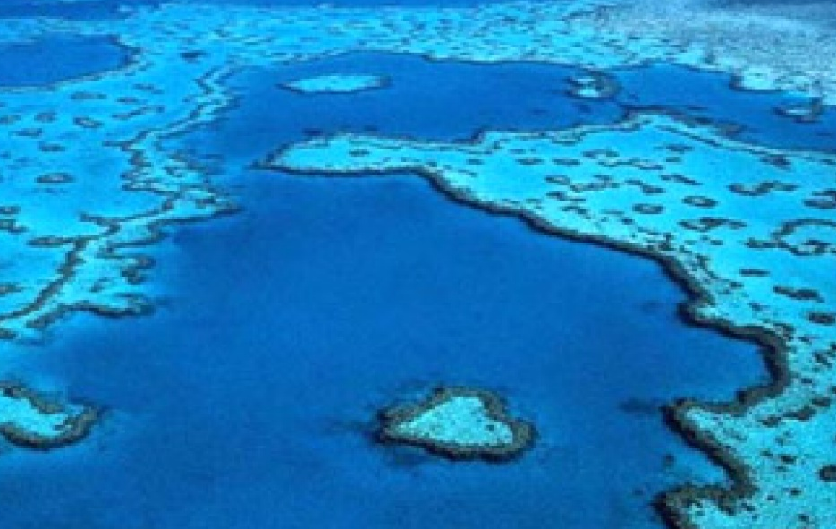 Rạn san hô lớn nhất Australia đối mặt với nguy cơ mới
