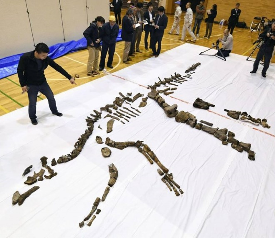 Phát hiện hóa thạch bộ xương khủng long hoàn thiện lớn nhất