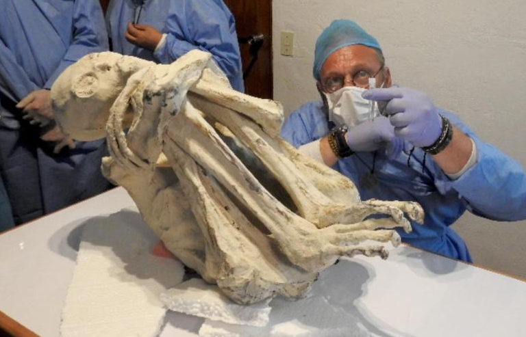 Peru: Phát hiện xác ướp "người ngoài hành tinh" 3 ngón tay