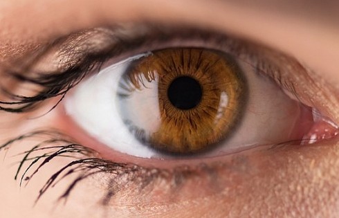 Nhiều tranh cãi về vai trò của vi khuẩn ở mắt người