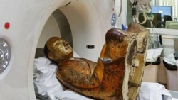Phát hiện việc tự ướp xác khi chụp cắt lớp pho tượng Phật cổ 1.000 năm tuổi